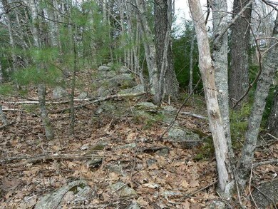 Land.