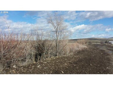 200 Eagle St, Long Creek, OR 97856 - photo 3