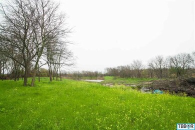 0 W Big Elm unit 9112805, Moody, TX 76557 - photo 5