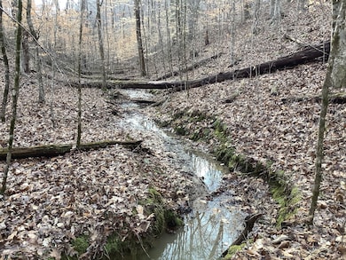 0 Blockhouse Rd unit LotWP001 17827491, Maryville, TN 37803 - photo 2