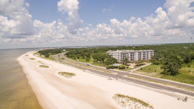 aerial with beach