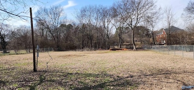 325 Pension Row, Madison, AL 35758 - photo 5