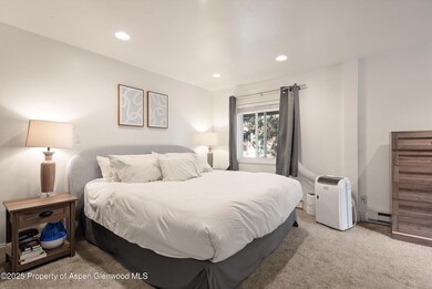 unlisted-address, Aspen, CO 81611 - photo 7