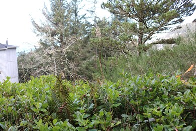 VL Camelot Estates Lot 9, Oceanside, OR 97134 - photo 6