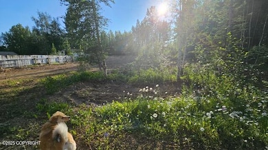 806 S Freeman Way, Big Lake, AK 99654 - photo 4