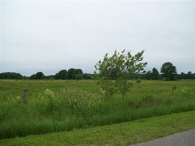 000 Crescent Rd, Byron, WI 54666 - photo 2