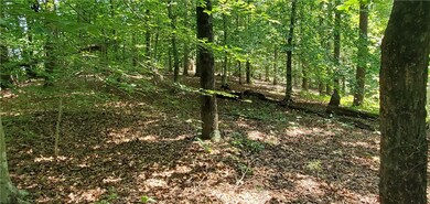 160 Beaver Lake Dr, West Union, SC 29696 - photo 6