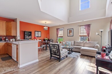 210 Springbrook Trail S, Oswego, IL 60543 - photo 2