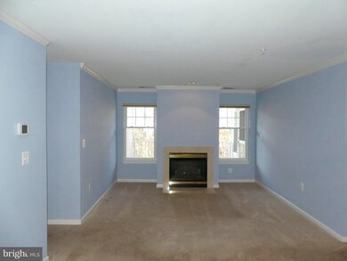 4550 Chaucer Way unit 303, Owings Mills, MD 21117 - photo 6