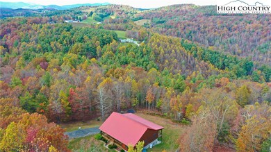 The leaves are gorgeous!!!!!