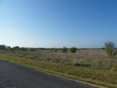 000 E Ridge Rd, Alamo, TX 78516 - photo 2