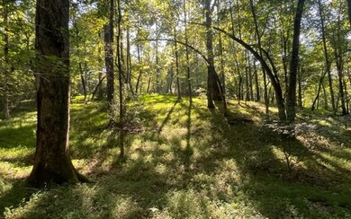 Additional View