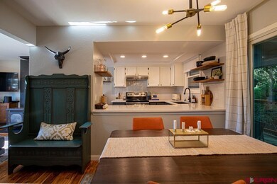 2155 W 3rd Ave unit 3, Durango, CO 81301 - photo 7