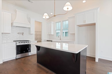 4515 Village Green Way, Hoover, AL 35226 - photo 7