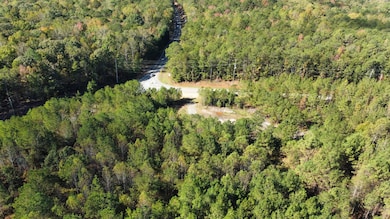 0 Turner Rd, Dadeville, AL 36853 - photo 3