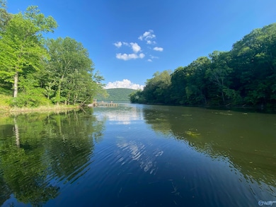 321 Redstone Dr unit Lot 192, Scottsboro, AL 35769 - photo 4