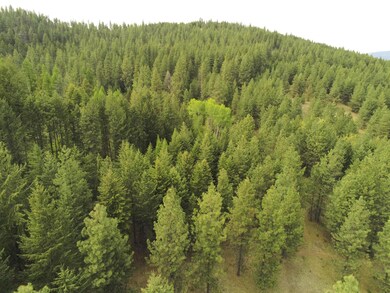 19XX Dry Creek Rd, Chewelah, WA 99109 - photo 2