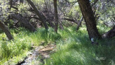 Stream