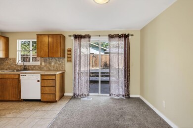 2025_09_05_2739_ne_cordata_Dr-9