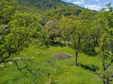 DJI_0085 (1)