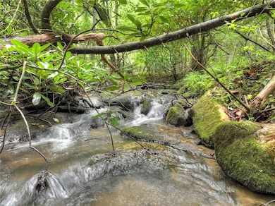 LOT 44 Synacia Dr, Mineral Bluff, GA 30559 - photo 4