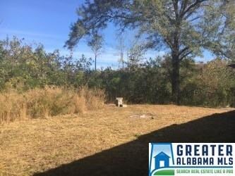 1446 Highway 304 unit 1, Calera, AL 35040 - photo 2