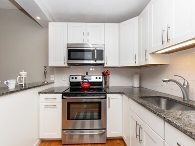 191 Bunker Hill St unit 302, Boston, MA 02129 - photo 5