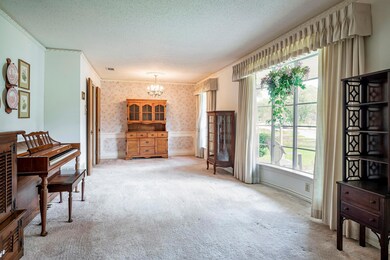 Living area featuring carpet flooring, an inviting