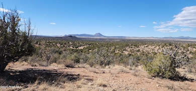 Lot 50 Scorpion, Ash Fork, AZ 86320 - photo 3