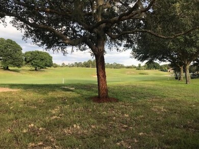 36700 Oconee Ave, Eustis, FL 32736 - photo 3