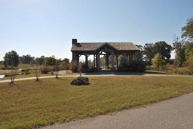 Lot 18 Block A Eagles View, Headland, AL 36345 - photo 5