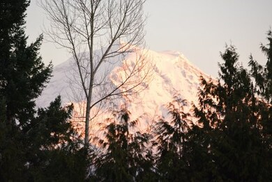 13414 Cedar Ct E, Bonney Lake, WA 98391 - photo 3