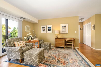 511 1st St N unit 509, Charlottesville, VA 22902 - photo 3
