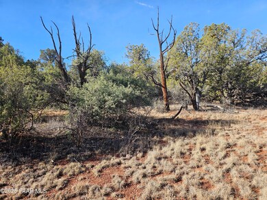 54892 N Potrero Ln, Seligman, AZ 86337 - photo 6