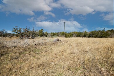 4 E Lower Crabapple Rd unit 4, Fredericksburg, TX 78624 - photo 2