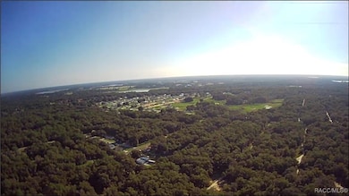 1105 Constitution Way, Inverness, FL 34453 - photo 3