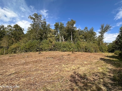 0 13 44 Ac Chestnut Ridge Rd, Allardt, TN 38504 - photo 4