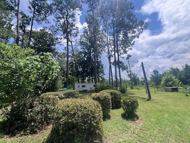 8075 Pinetree Dr, Donalsonville, GA 39845 - photo 6