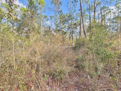 465 NE River Ridge Way, Lee, FL 32059 - photo 7