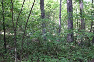 Lot 53 Red Bird Dr, Stanardsville, VA 22973 - photo 3