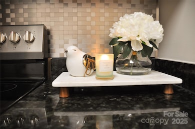 630 Calvert St unit 1110, Charlotte, NC 28208 - photo 6