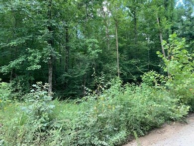 0 Lucian Sorrel Rd, Broken Bow, OK 74728 - photo 6