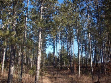 0 S 230th Ave, Lincoln Township, MI 49677 - photo 4