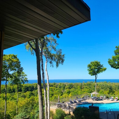 A View from the Patio
