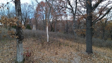 0 Tbd Elk Springs Rd, Noel, MO 64854 - photo 7