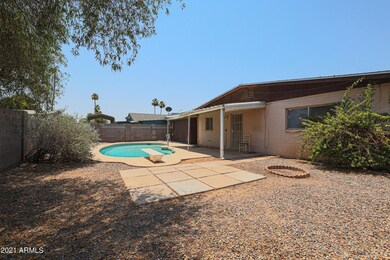 Back yard