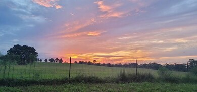 6951 SE 210 Ave, Morriston, FL 32668 - photo 2