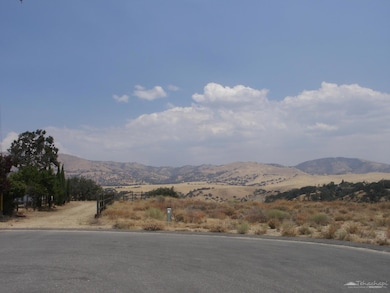 23016 Monroe Ln, Tehachapi, CA 93561 - photo 6
