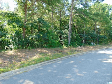 162 Jewell Cir, Bessemer, AL 35022 - photo 2