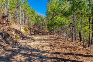 Lot 30 Brush Mountain Trail, Little Rock, AR 72122 - photo 2